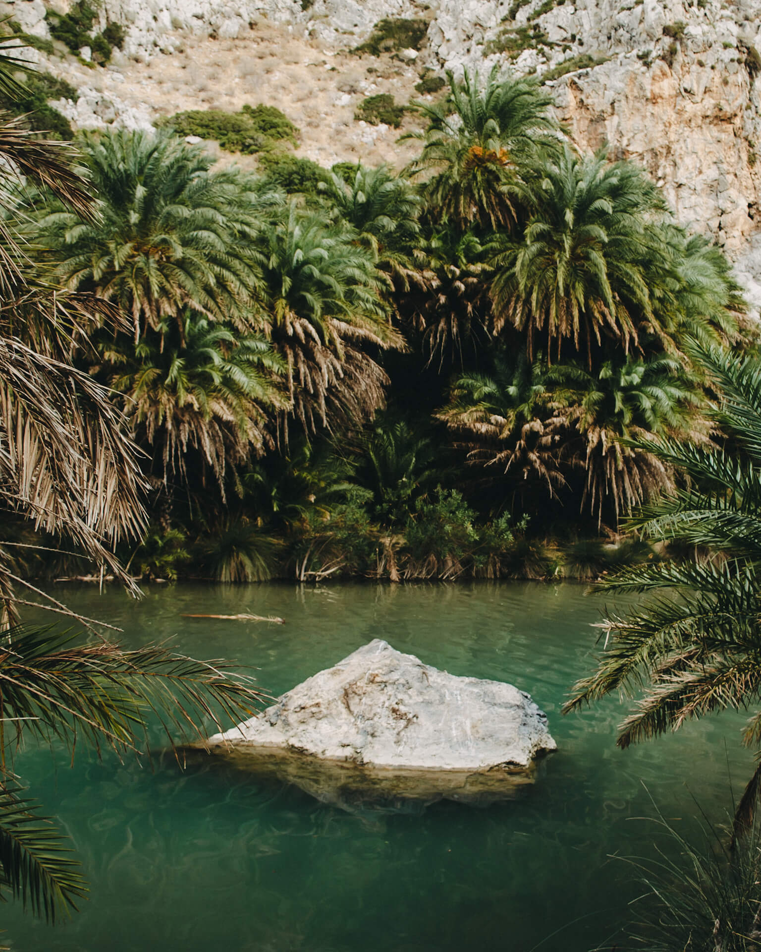 Der Palmenstrand von Preveli liegt auf der Insel Kreta in Griechenland.